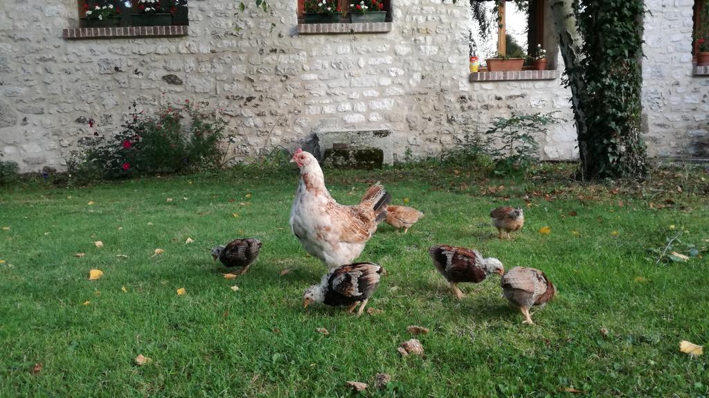 Forest Farm Bois-Jerome-Saint-Ouen Bagian luar foto