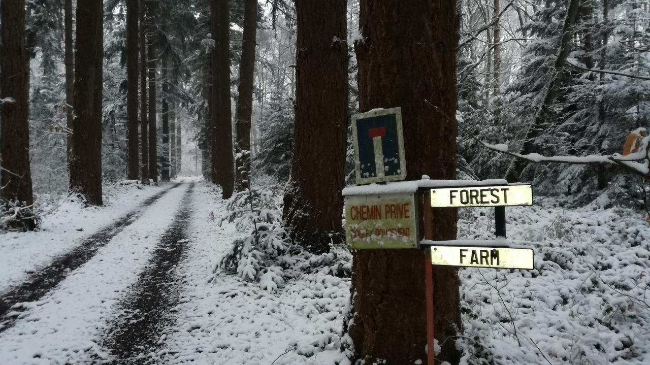 Forest Farm Bois-Jerome-Saint-Ouen Bagian luar foto